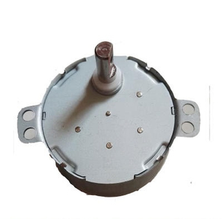 Reversible Synchronous Motor for Disher Washer Fan Motor