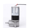 D49SR gear Motor 