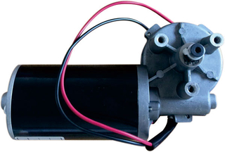 D59 gear Motor