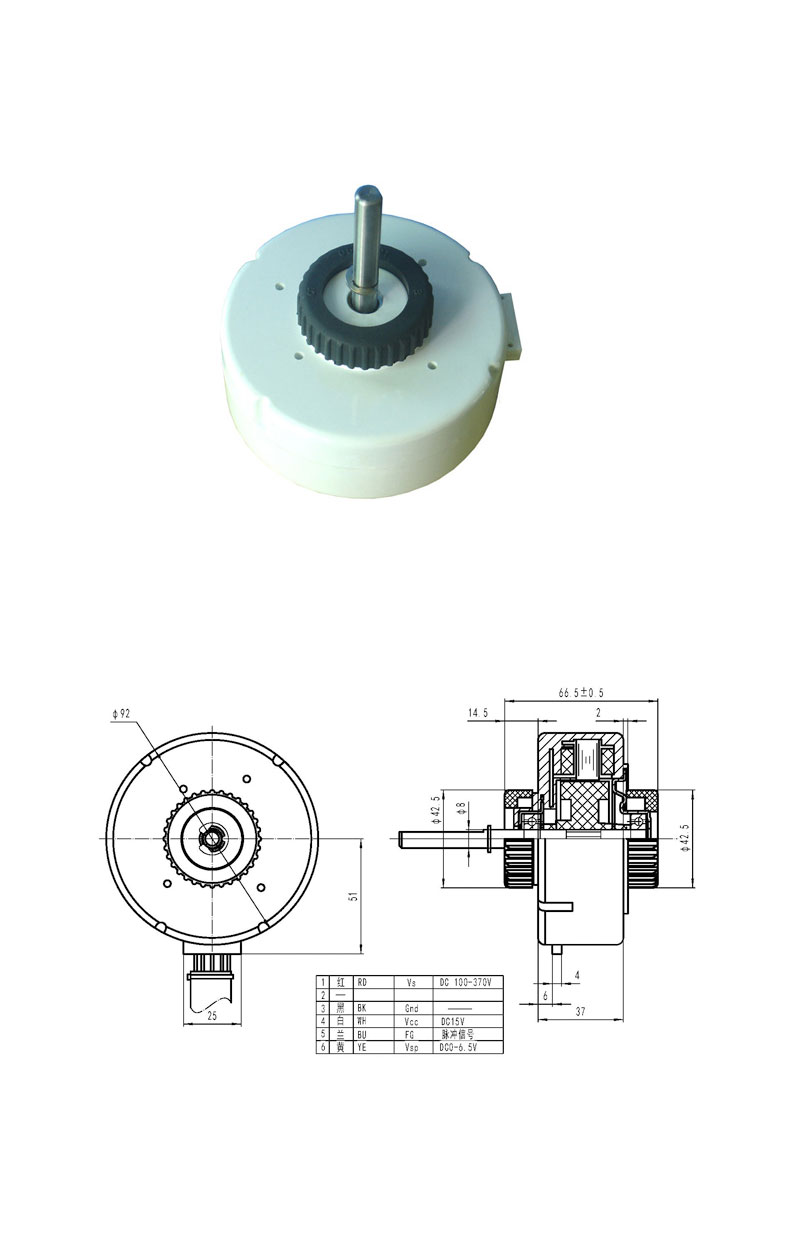 ZG-YYSS-01 Plastic Housing Motor 