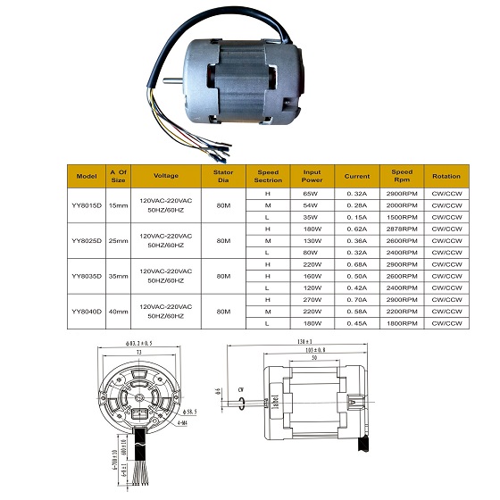 AC Induction Motor with capacitor 
