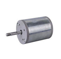 P44 DC Motor