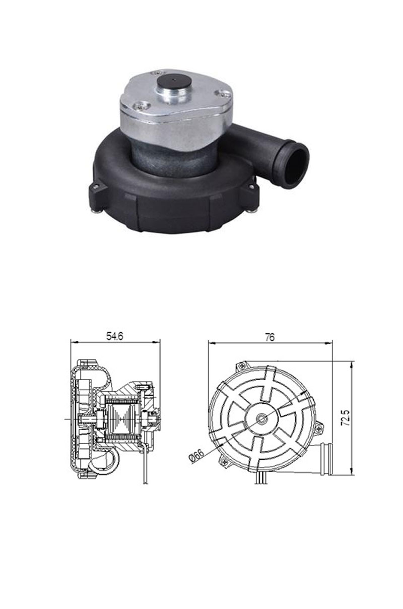 BLW50 Brushless DC Motor 